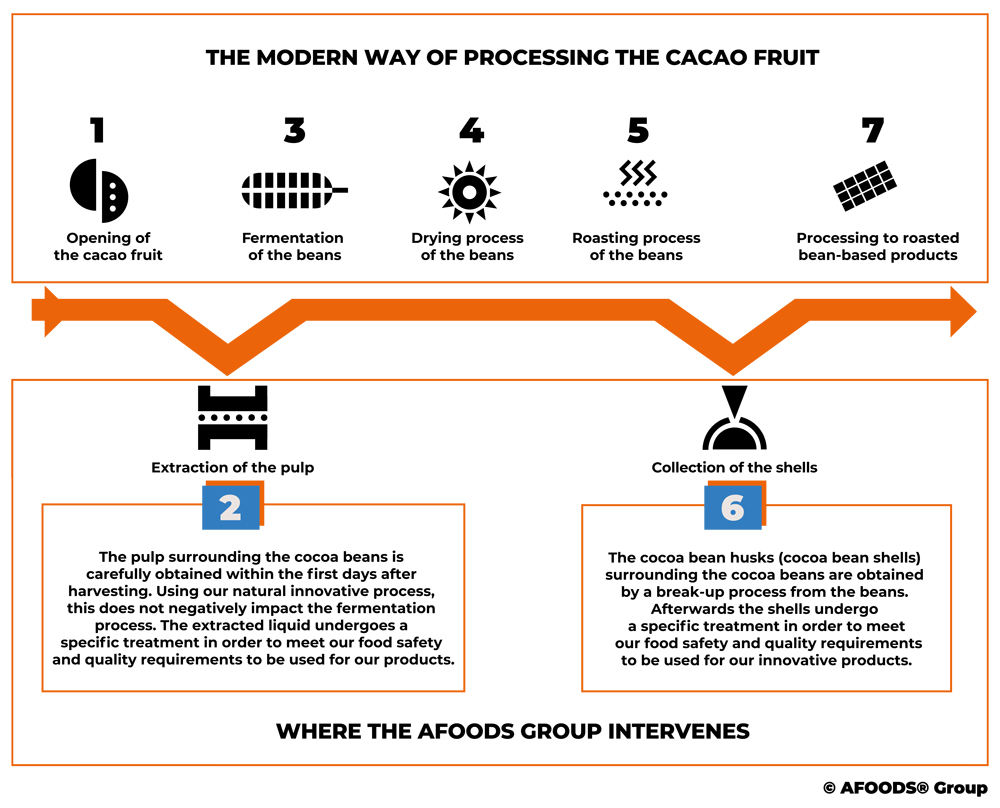 Kakaofrucht Innovation